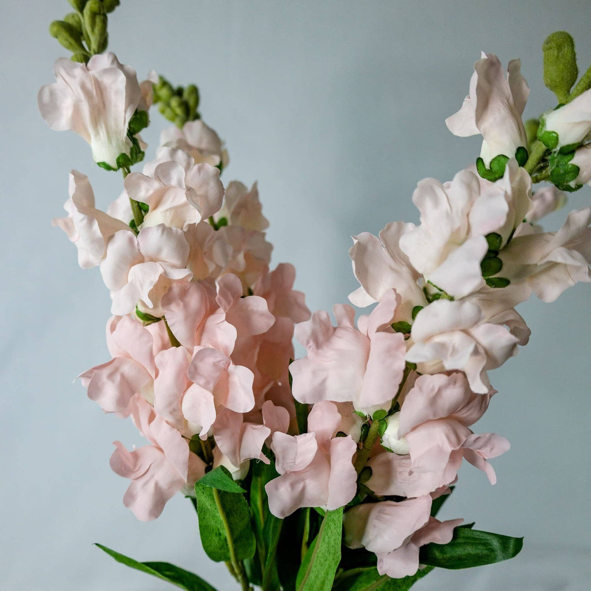 Pink Snapdragons -Soft Silk
