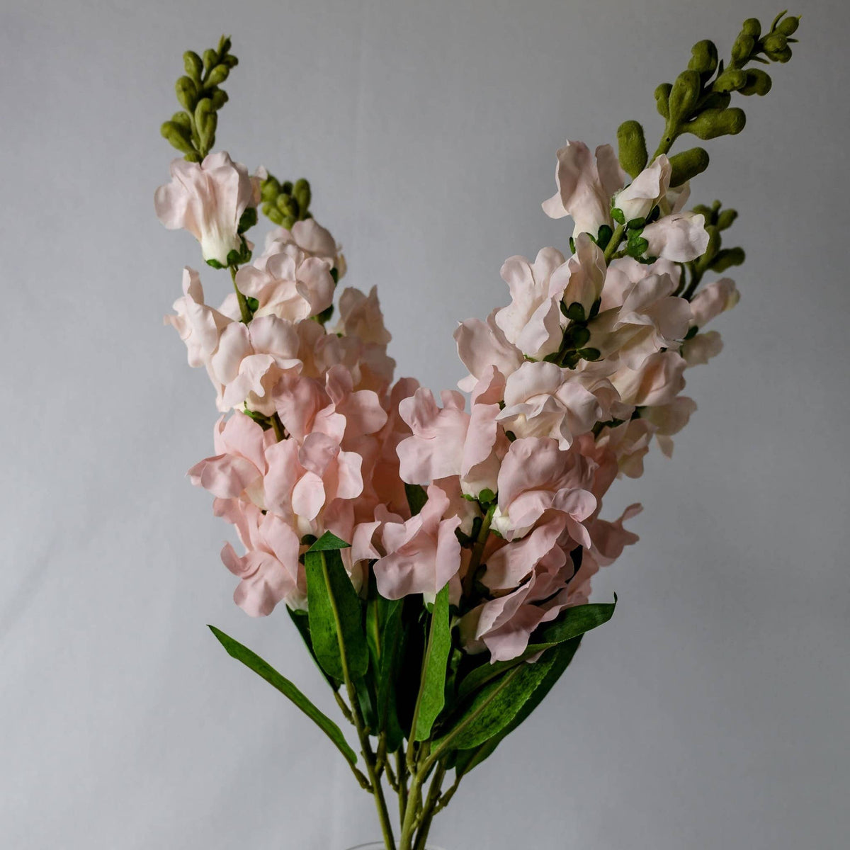 Pink Snapdragons -Soft Silk