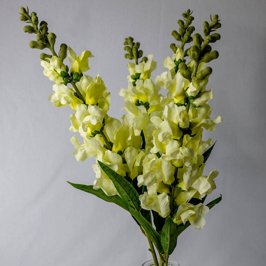 Lemon Snapdragons - Soft Silk